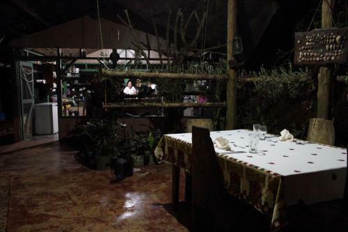 Isla Violin Eco-lodge