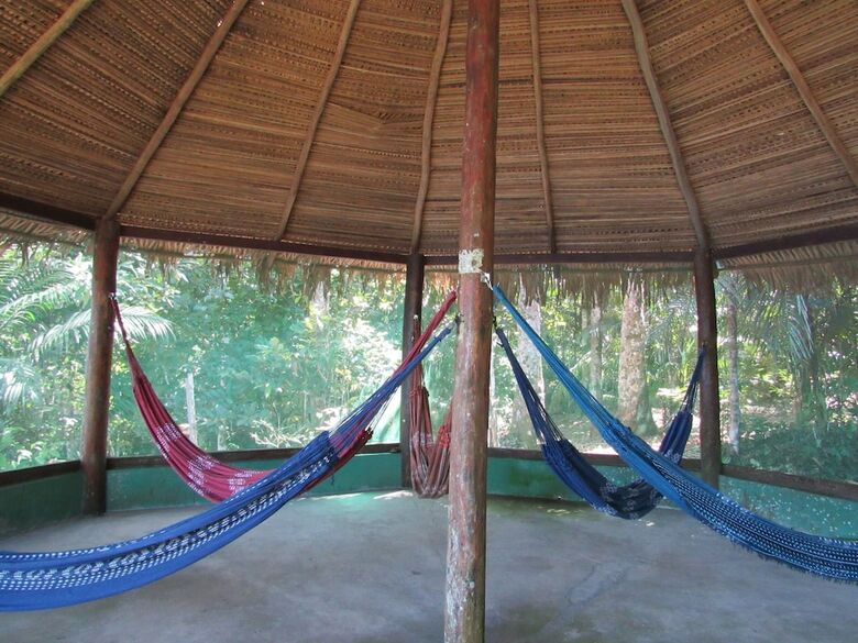Hotel Dolphin Lodge