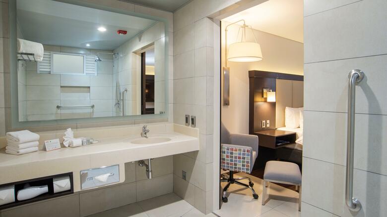 Hotel Holiday Inn Express Mexico Basilica