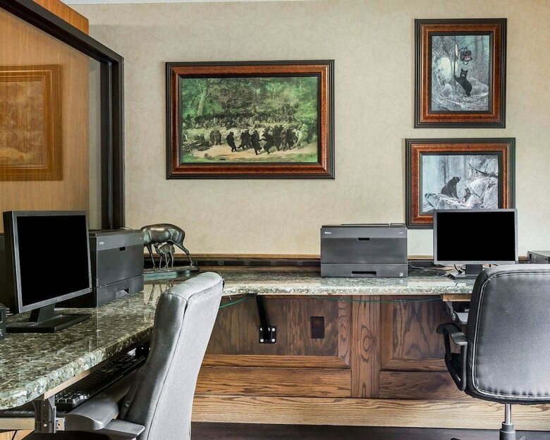 Hotel Comfort Suites Boone - University Area