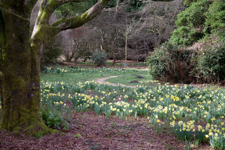 Best Western Chilworth Manor Hotel