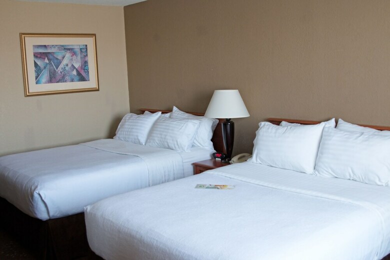 Hotel Holiday Inn Alexandria