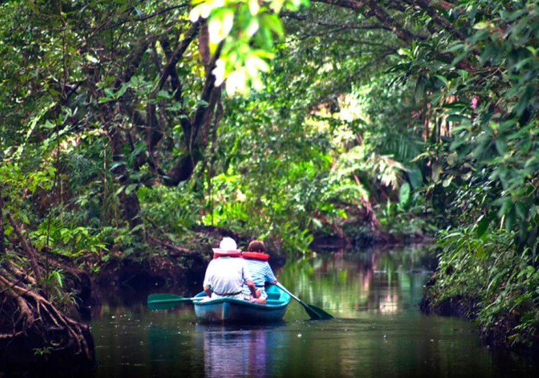 Hotel Turtle Beach Lodge