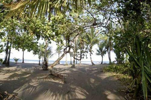 Hotel Turtle Beach Lodge