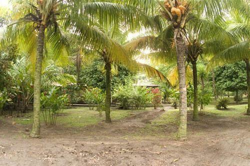 Hotel Turtle Beach Lodge