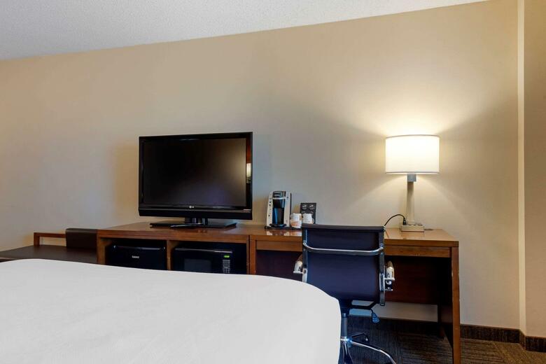 Hotel Comfort Inn & Suites Downtown