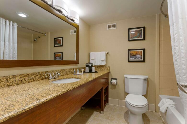Hotel Comfort Inn & Suites Downtown