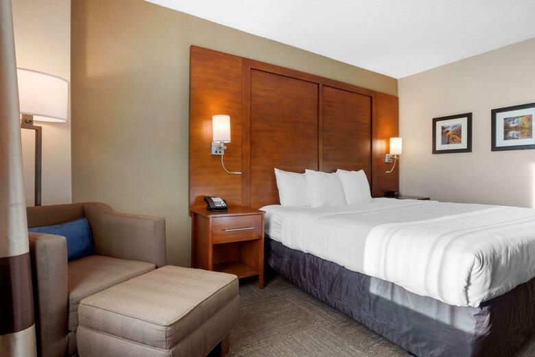 Hotel Comfort Inn & Suites Downtown