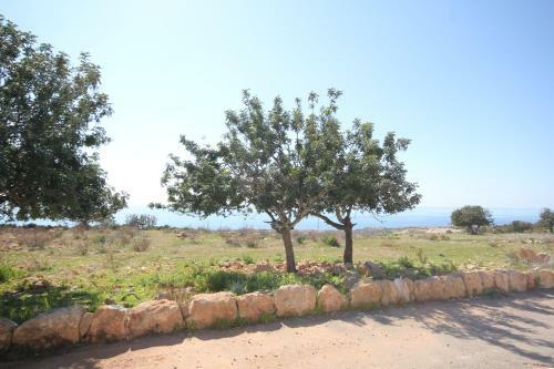 Koumasia Villas