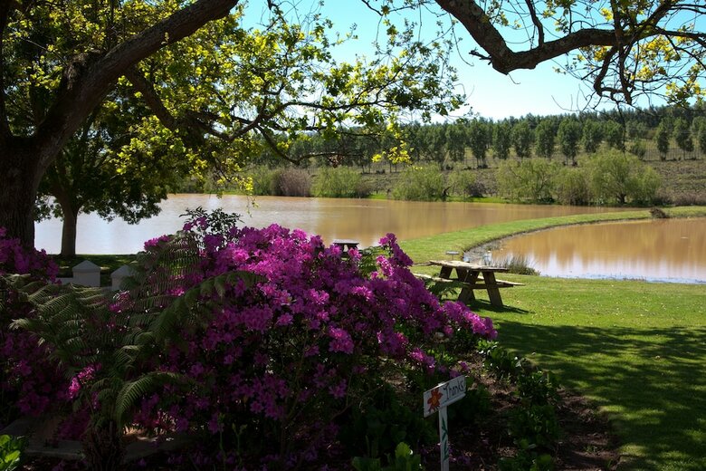 Agroturismo The Lodge L'avenir