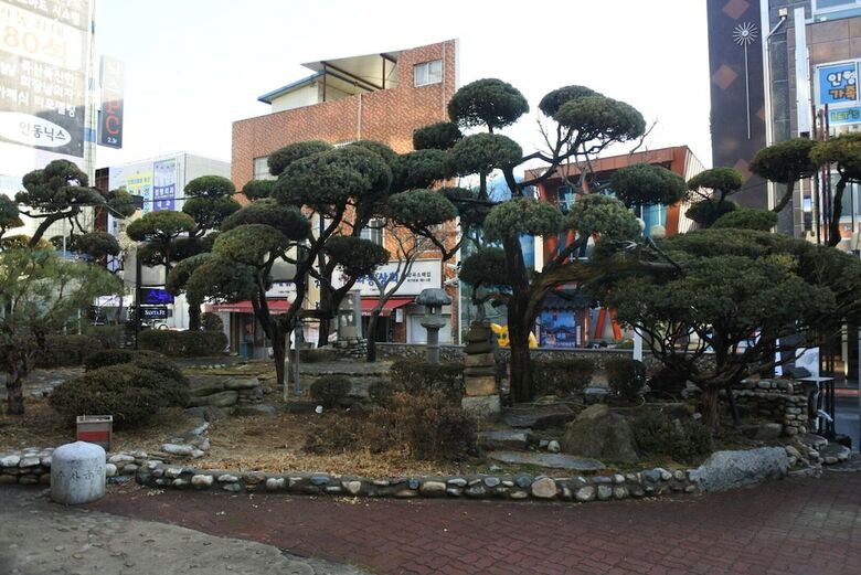 Andong Hotel