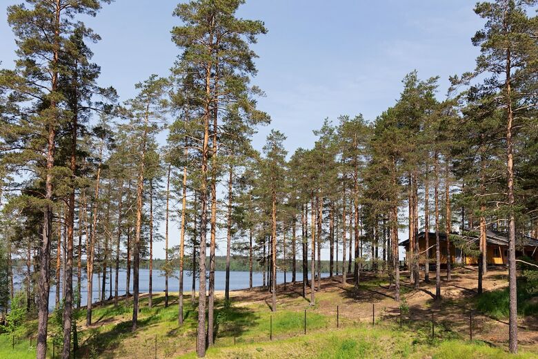 Hotel Forest Rhapsody Resort