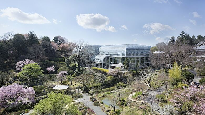 Hotel Nikko Kochi Asahi Royal