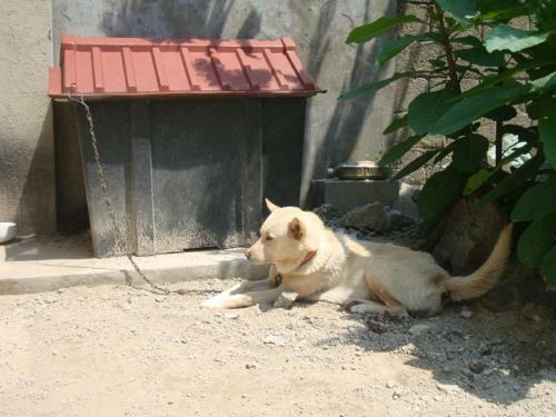 Hostal Sillabang Guesthouse