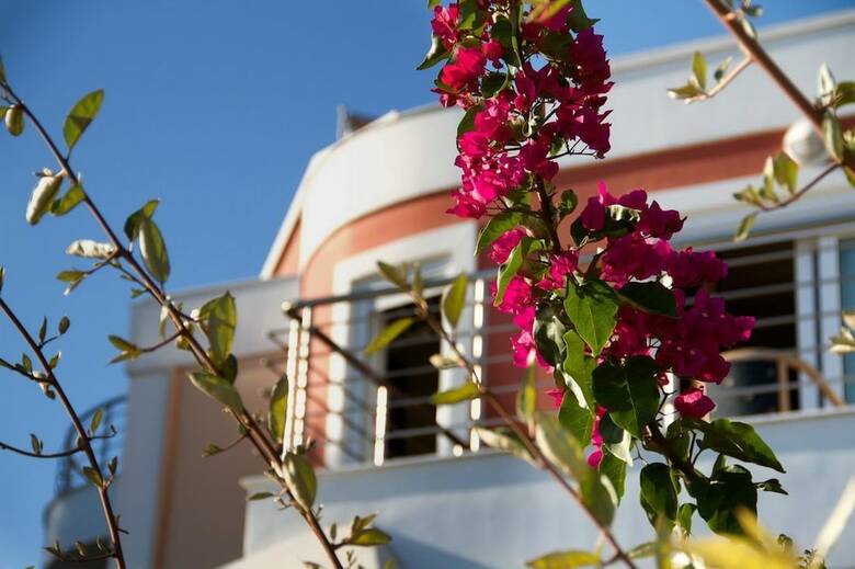 Heliotrope Hotels