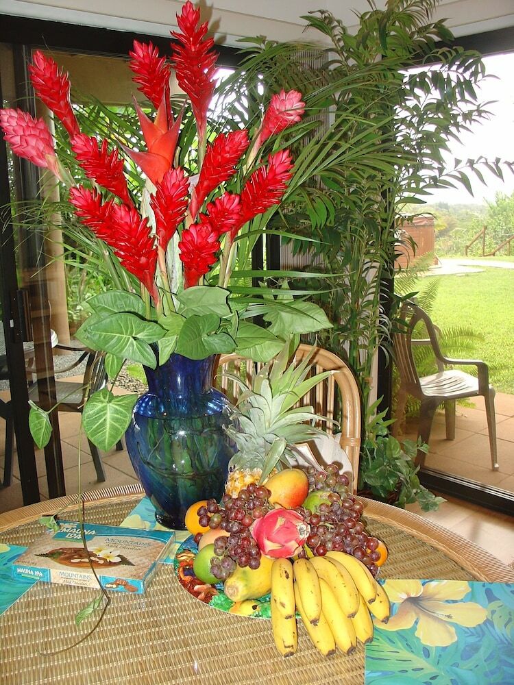 Bed & Breakfast Adventure In Paradise