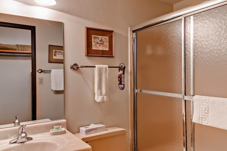 Bronze Tree Condominiums By Steamboat Resorts