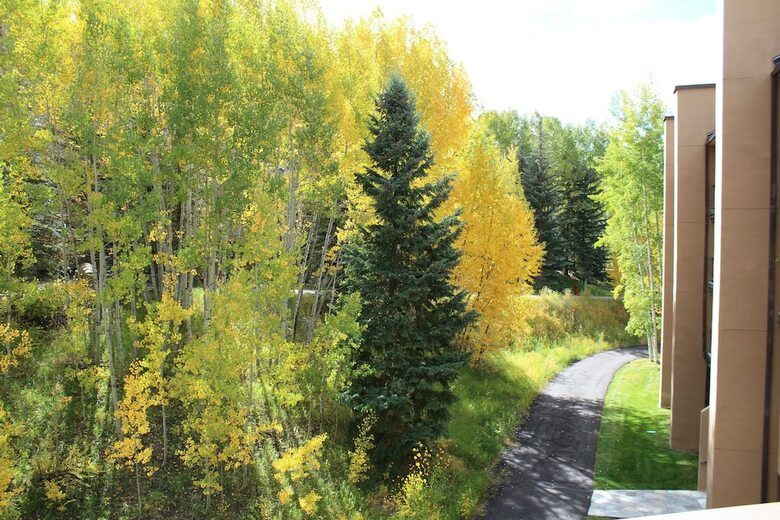 Fallridge At Vail