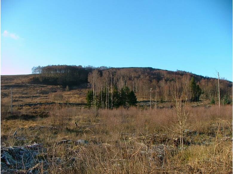 Hotel The Struan Inn