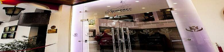 Hotel Golden Tulip Flamenco