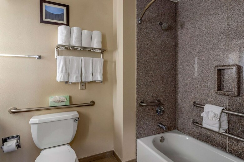 Hotel Comfort Suites Near Texas Medical Center - Nrg Stadium