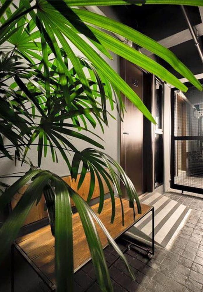 Hotel Thapae Loft