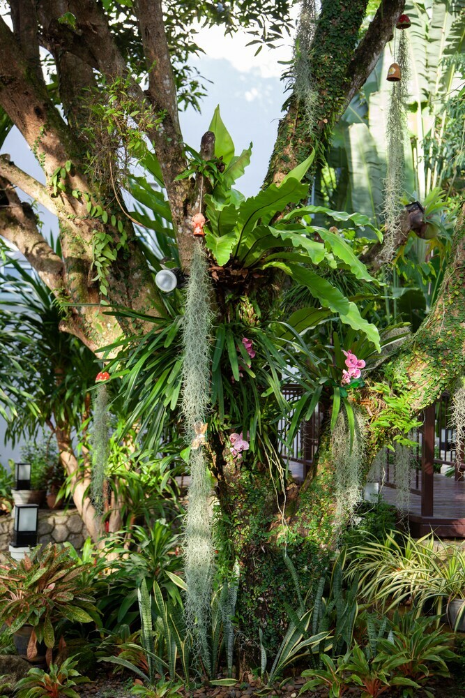 Apartamento Orchidacea Resort