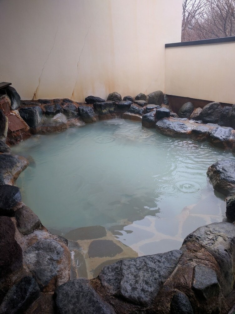 Hotel Shinanoki Ichinoyu