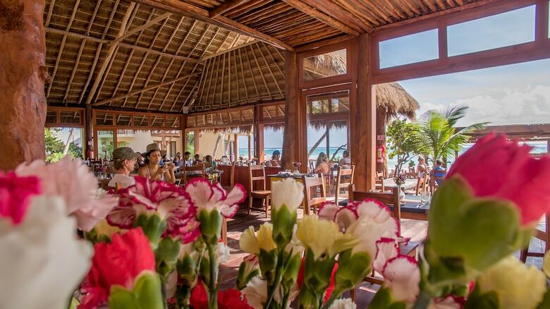 La Zebra Colibri Boutique Hotels