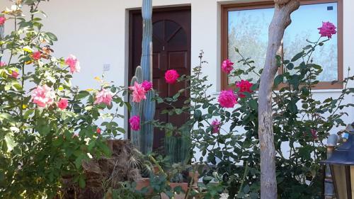 Georgias Apartments