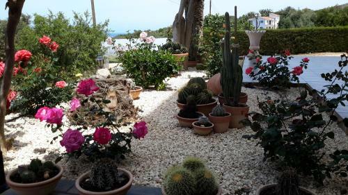 Georgias Apartments