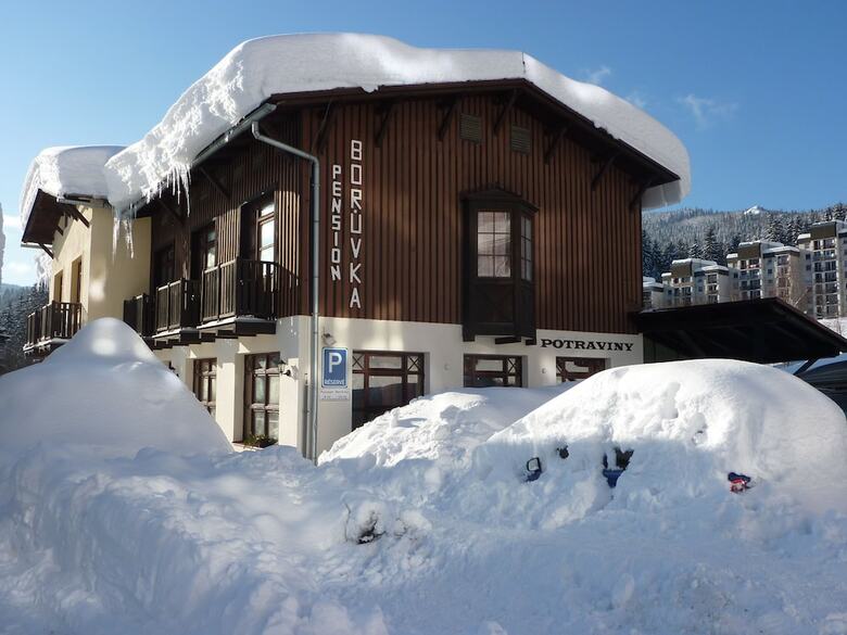 Hotel Pension Bor?vka