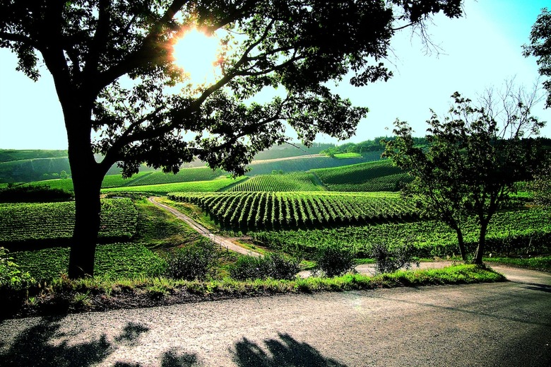 Posada Borgo Cond� Wine Resort