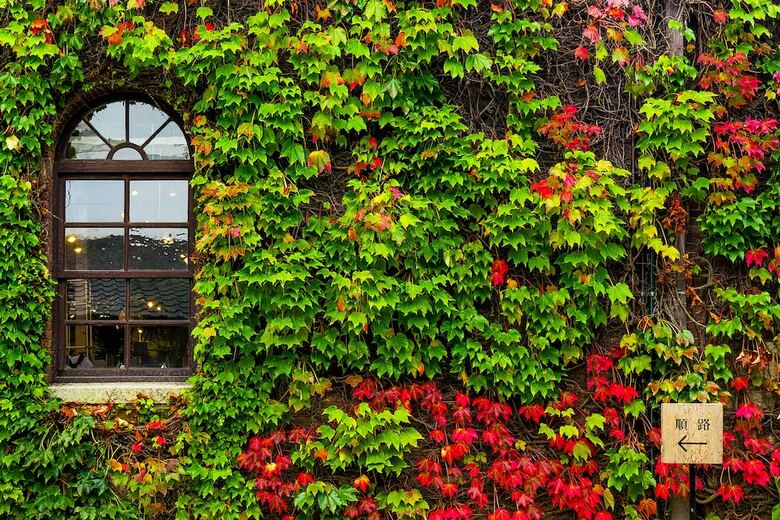 Hotel Kurashiki Ivy Square