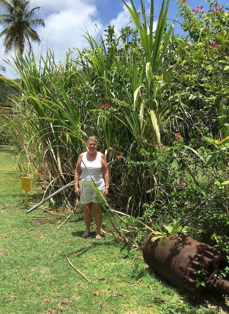 Hotel Firefly Plantation Bequia