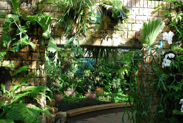 Lemon House