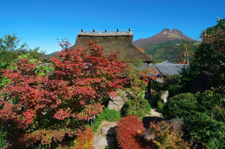 Makibanoie