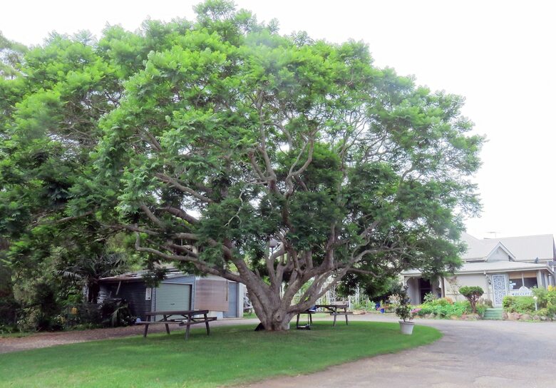 Motel Ecotel Narooma