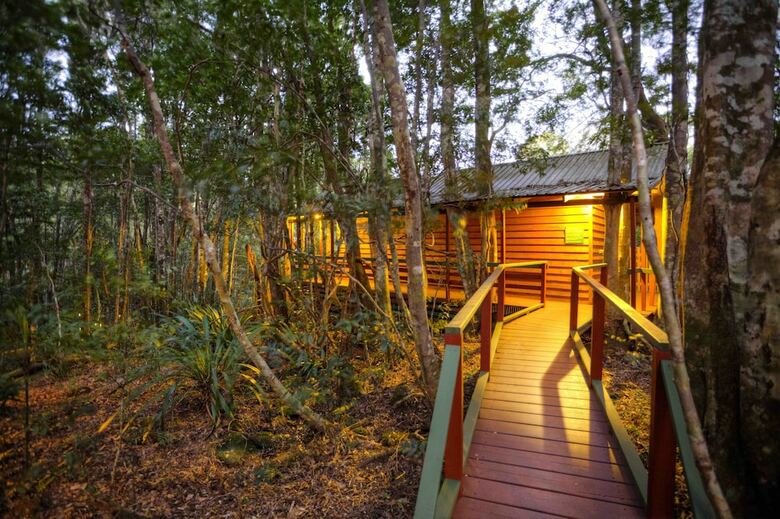 The Mouses House Rainforest Retreat