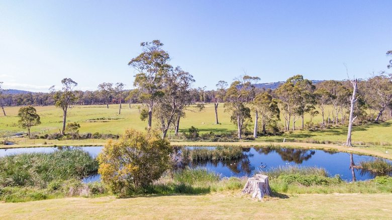 Hazelcreek Cottages