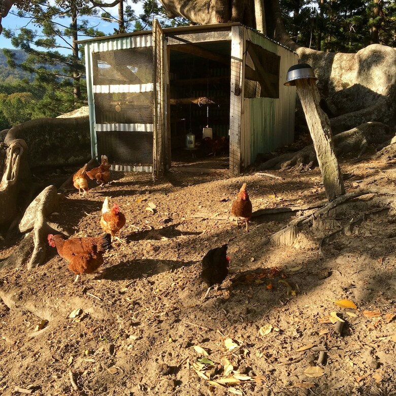 Bed & Breakfast Ingleside Stud Farm