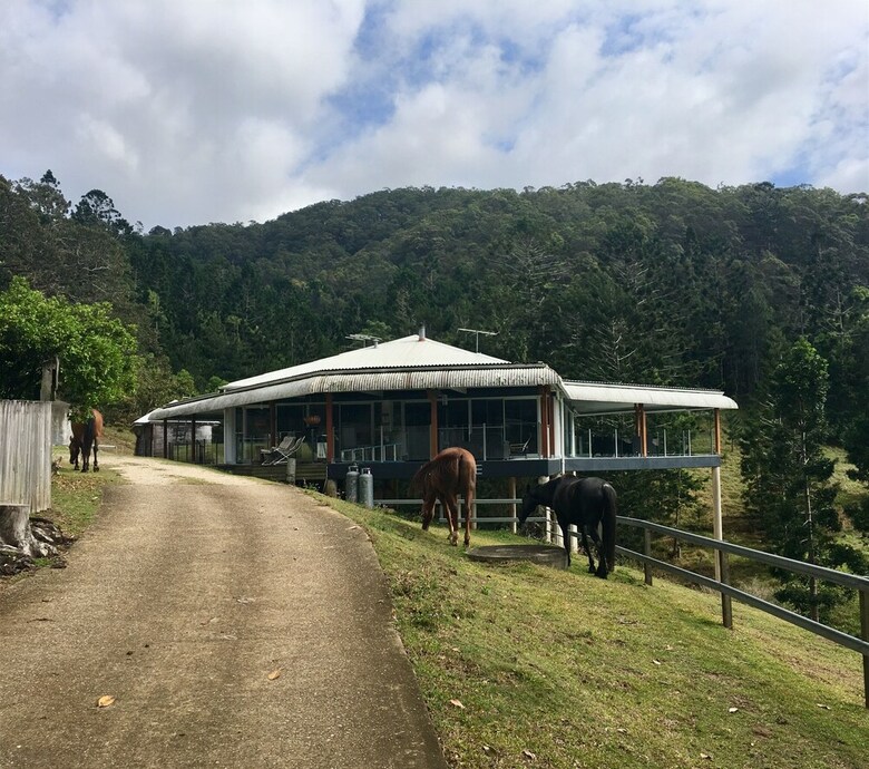 Bed & Breakfast Ingleside Stud Farm