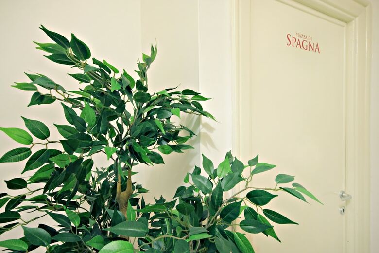 Le Piazze Di Roma Bed And Breakfast