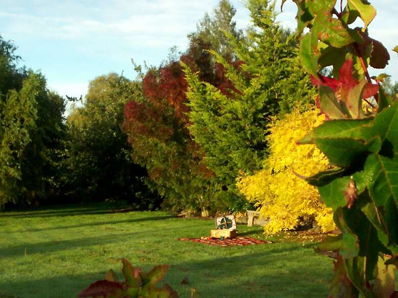 Aparthotel Longbourne Lodge