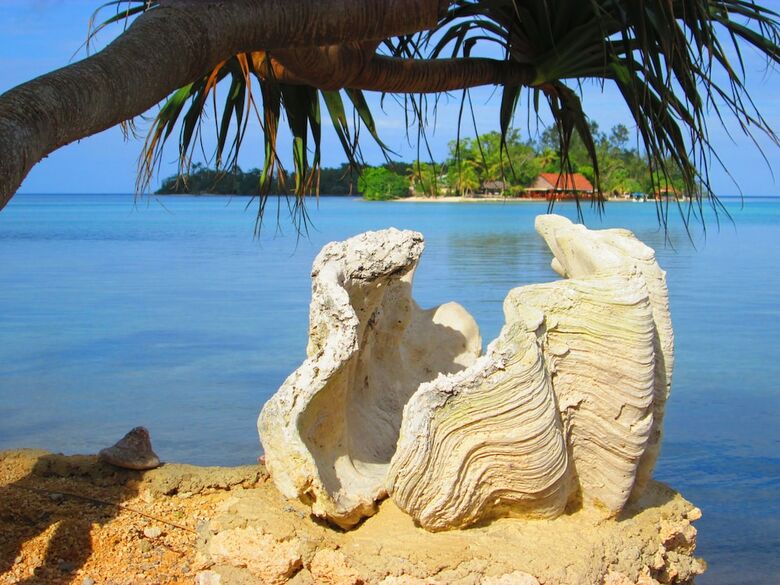 Villa Troppo Mystique