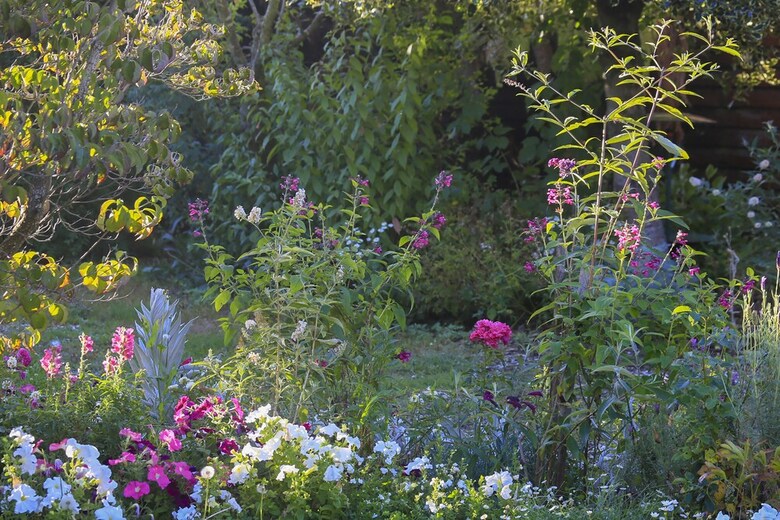 Bed & Breakfast The Racecourse Inn