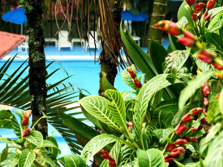 Apartamento Hotel Rio Perlas Spa And Resort