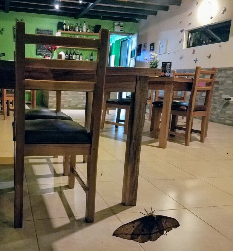 Posada Las Terrazas de Dana Boutique Lodge