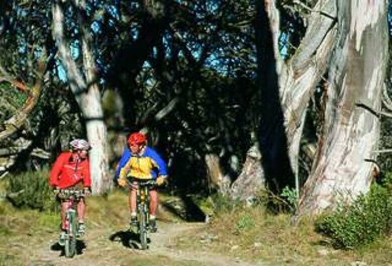 Posada Currawong Lodge