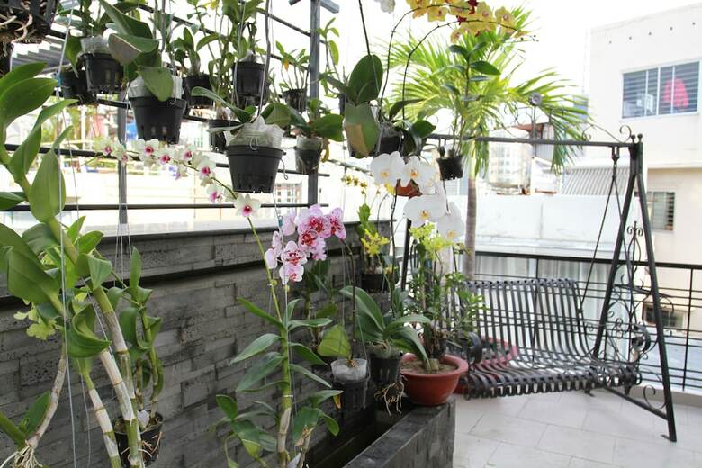 Ngoc Minh Hotel